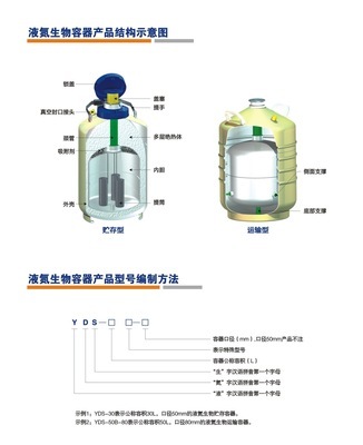 四川液氮罐YDS-10 成都鈞喬科技的專業(yè)選擇與價(jià)格指南